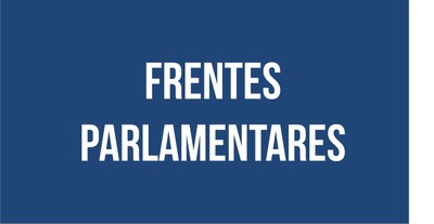 frentes parlamentares.jpg