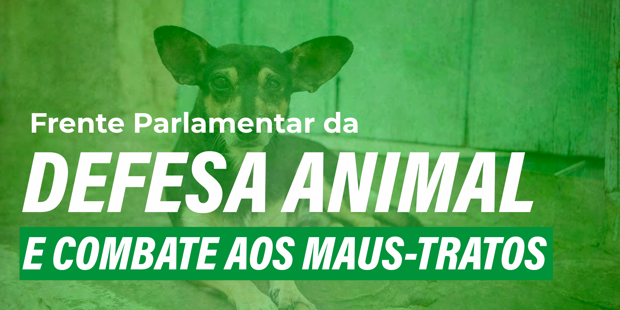 Frente Parlamentar da Defesa Animal e Combate aos Maus-Tratos