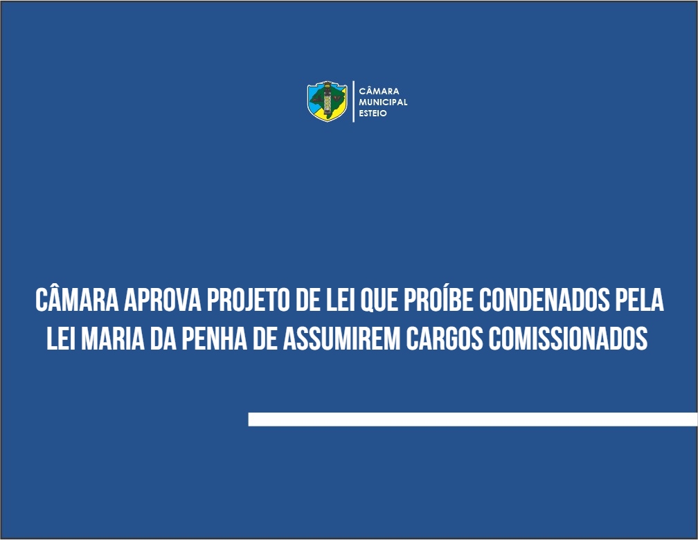 Câmara aprova PL que proíbe condenados pela Lei Maria da Penha de assumirem cargos comissionados 