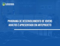 Programa de Desenvolvimento de Jovens Adultos é apresentado em anteprojeto