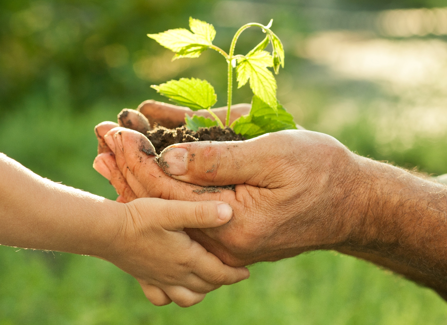 Programa Permanente de Educação Ambiental é reconhecido pela Câmara de Vereadores 