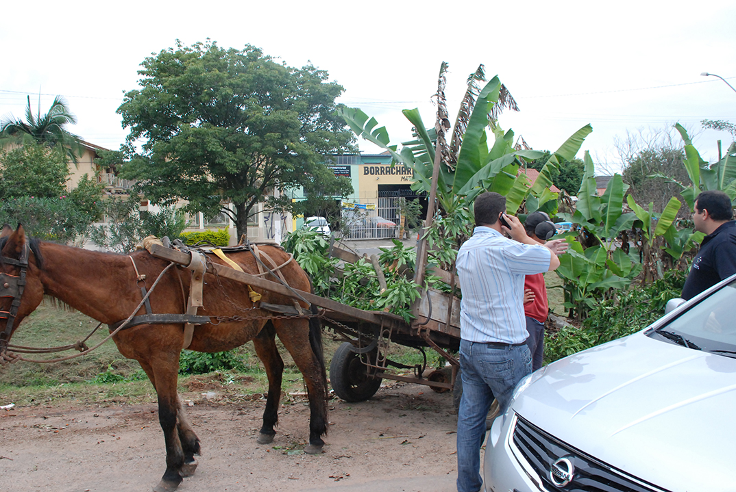 Vereador flagra descarte de lixo na beira do arroio Esteio