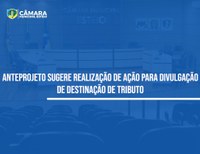 Vereador quer campanha de destinação de Imposto de Renda a entidades na Câmara  