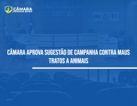 Vereador sugere campanha permanente contra maus tratos a animais