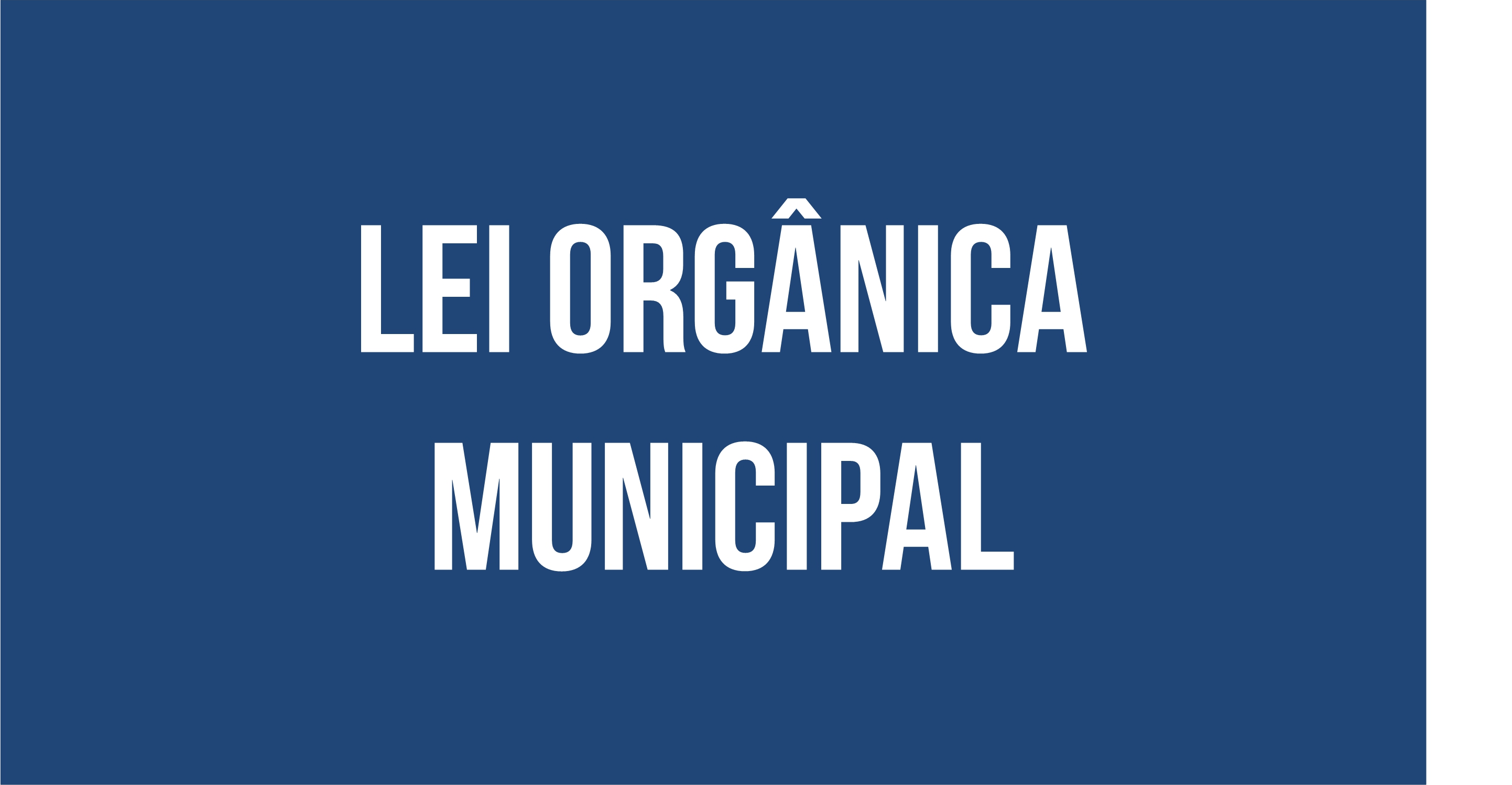 lei organica municipal.jpg